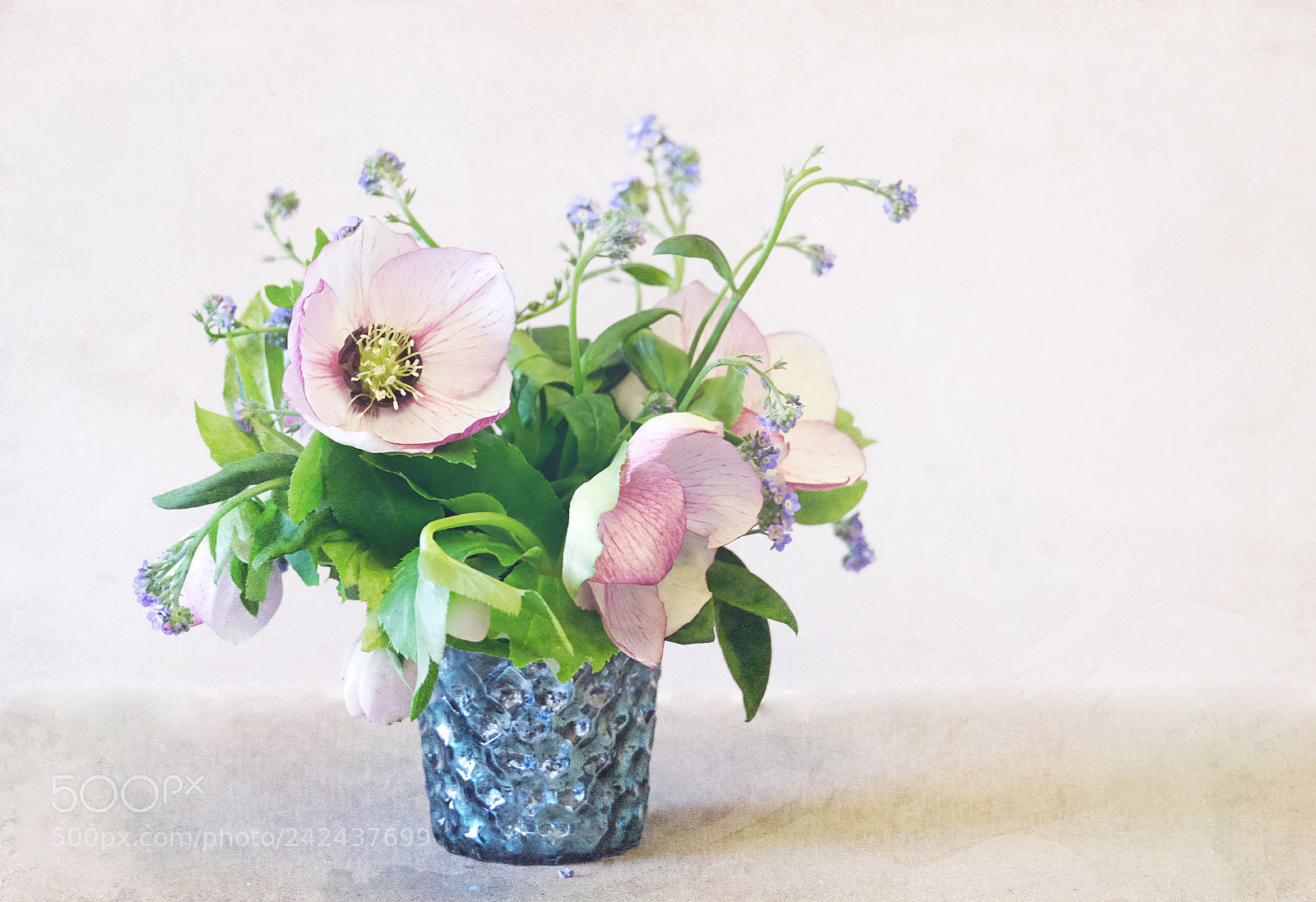 Fujifilm X-T10 sample photo. Heleborine and forget me photography