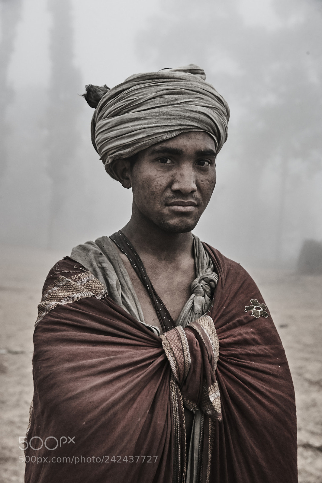Canon EOS-1D X sample photo. The himalayan kings of photography