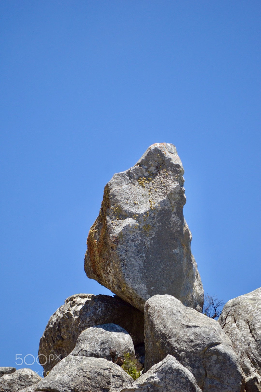 Nikon D3200 sample photo. Untitled photography