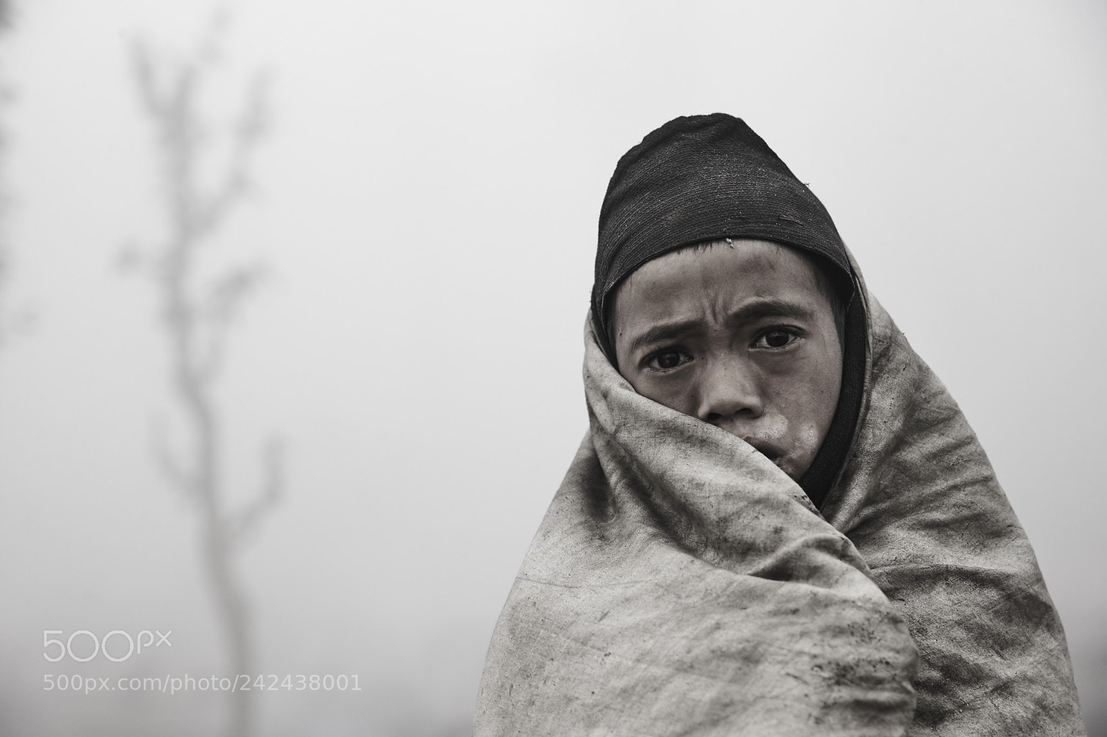 Canon EOS-1D X sample photo. The himalayan kings of photography
