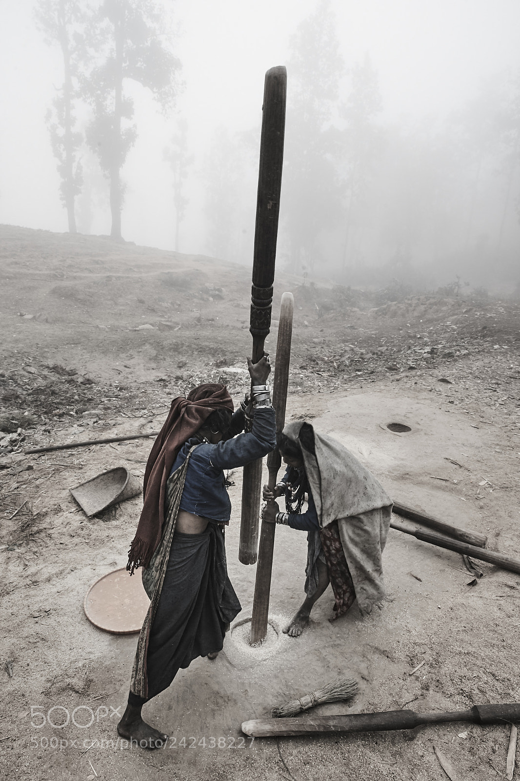 Canon EOS-1D X sample photo. The himalayan kings of photography