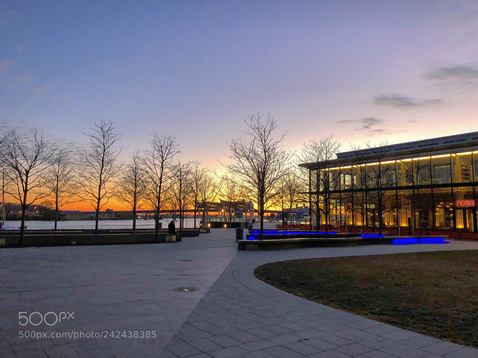 Apple iPhone X sample photo. January 13 2018 at 02:29pm photography