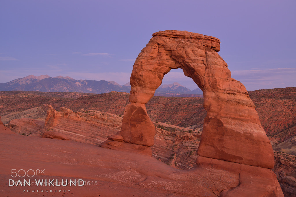 Nikon D800 sample photo. Quiet at delicate arch photography