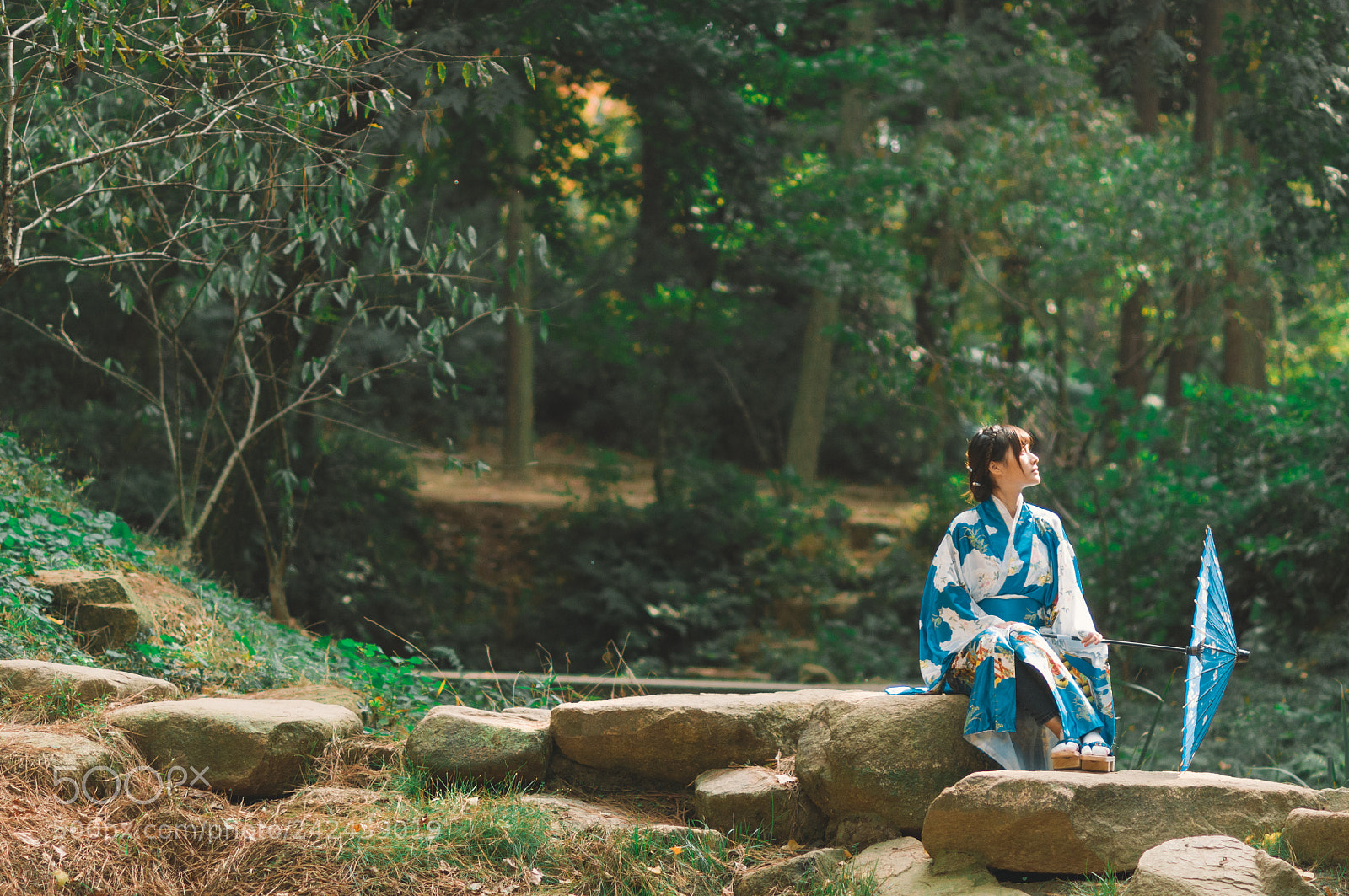 Nikon D90 sample photo. 伞 photography