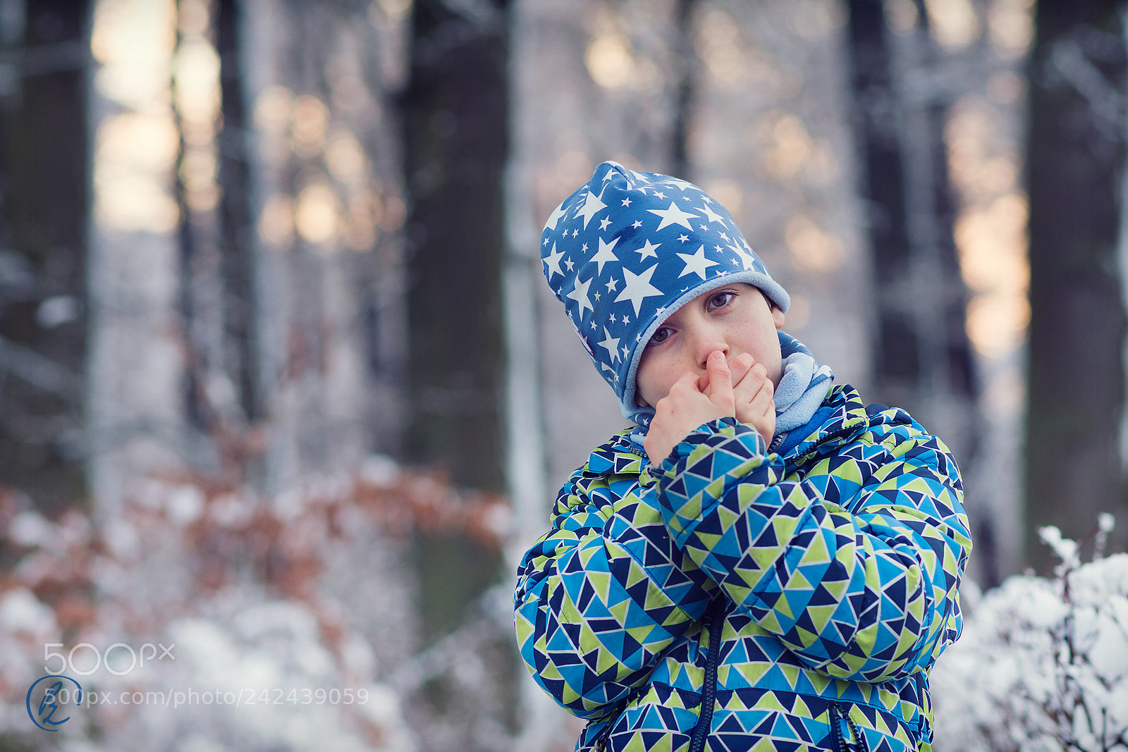 Nikon D7200 sample photo. In winter forest photography