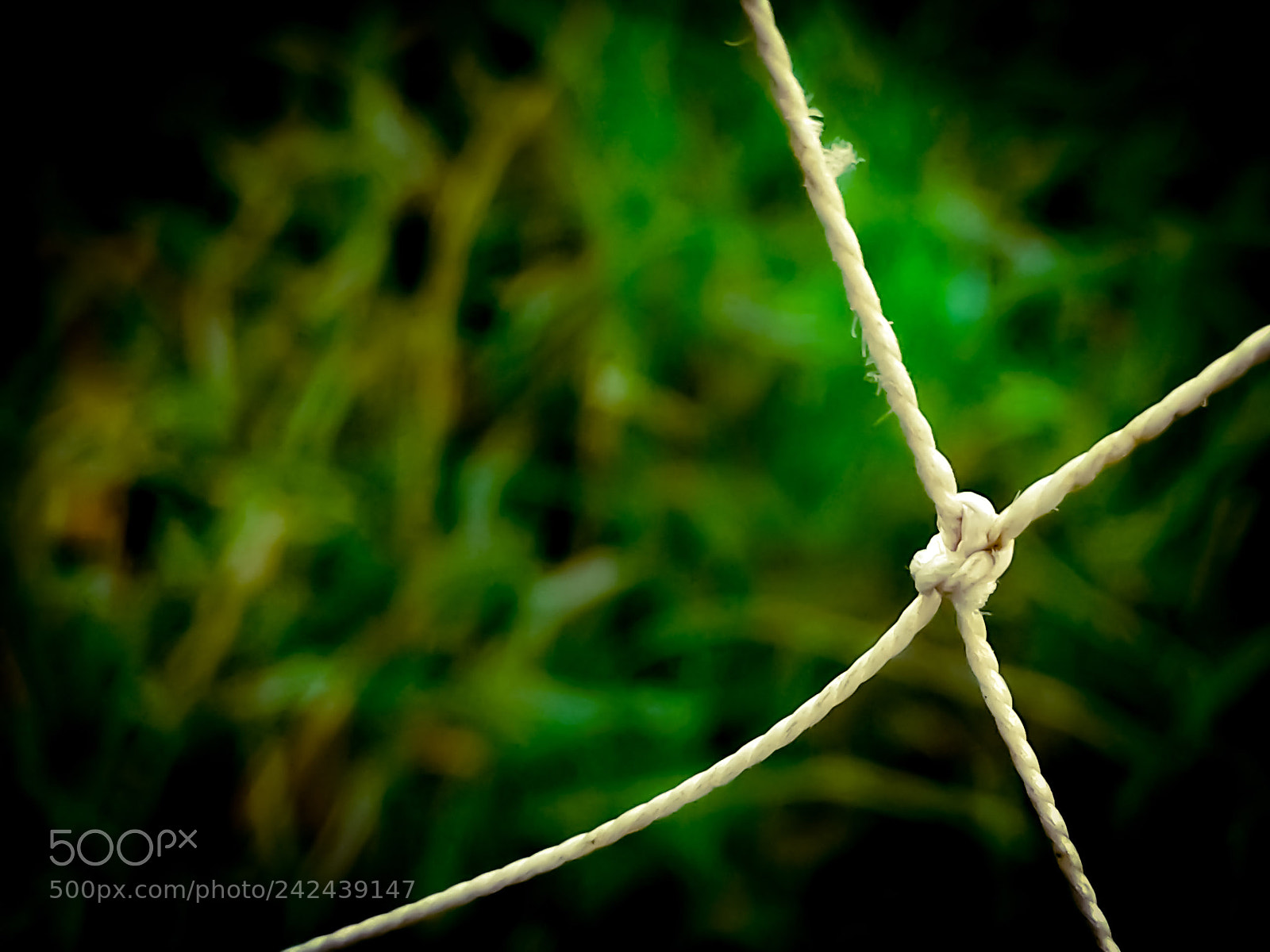 Samsung Galaxy Core Prime sample photo. Rope photography