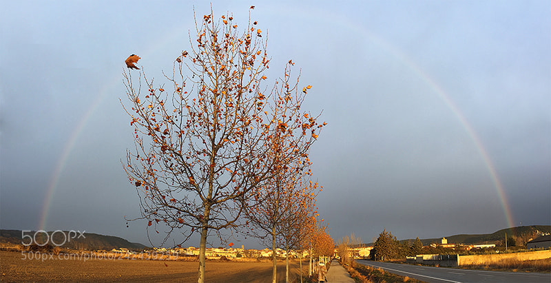 Apple iPhone 6 sample photo. Paseo y arco iris photography
