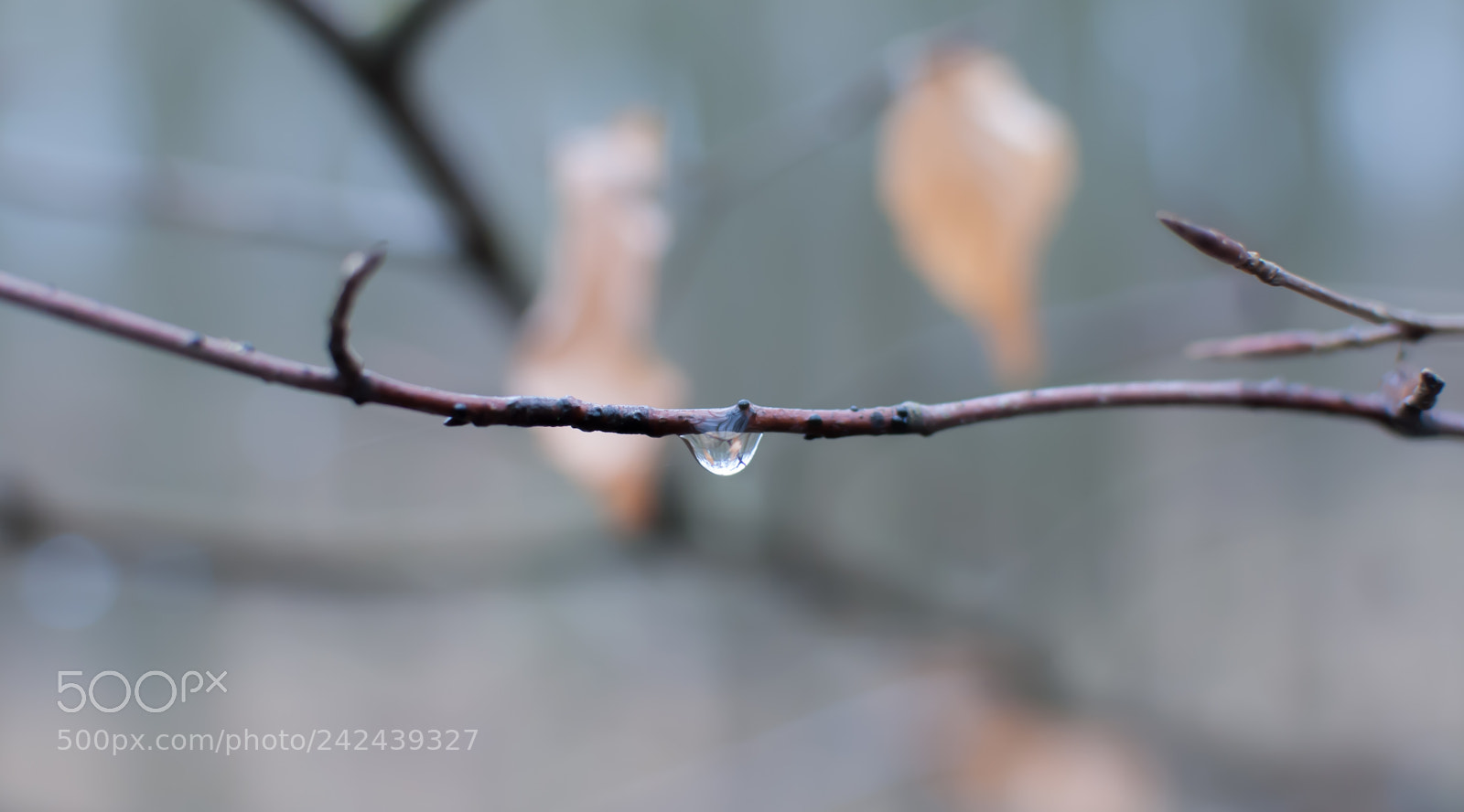 Nikon D3000 sample photo. Winter... photography