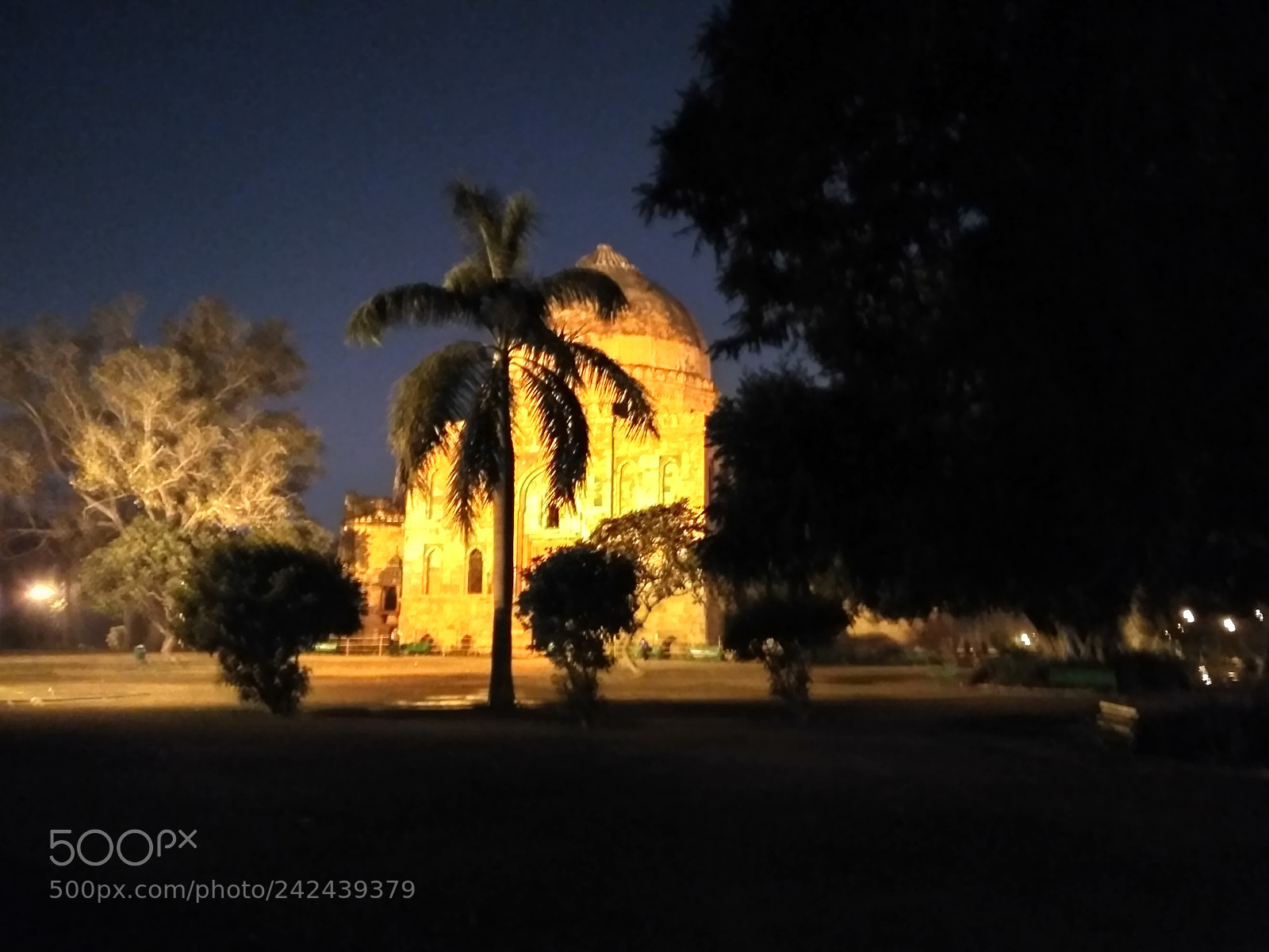 Xiaomi Redmi 3S sample photo. Untitled photography