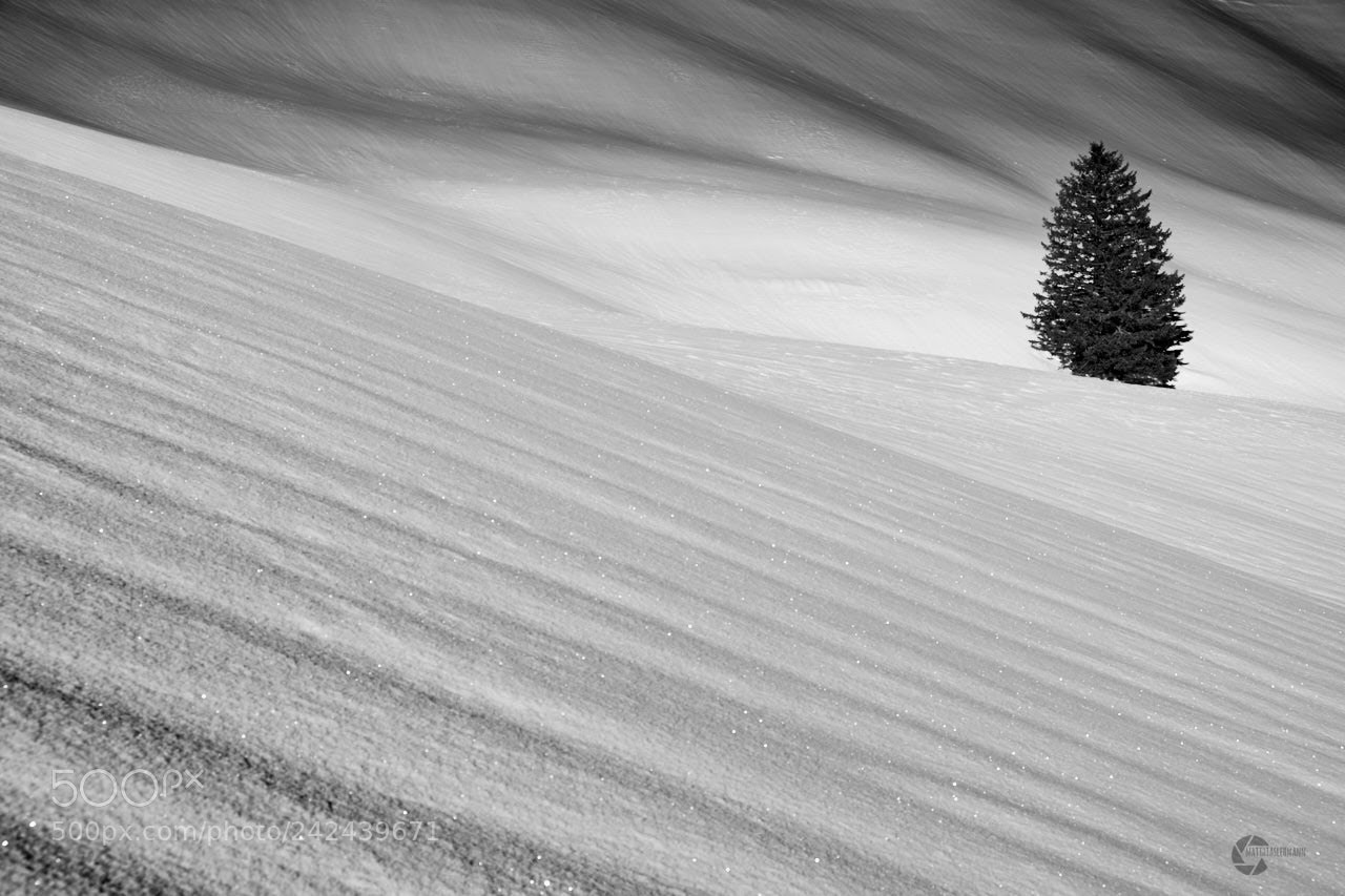 Fujifilm X-E2 sample photo. Clean lines photography