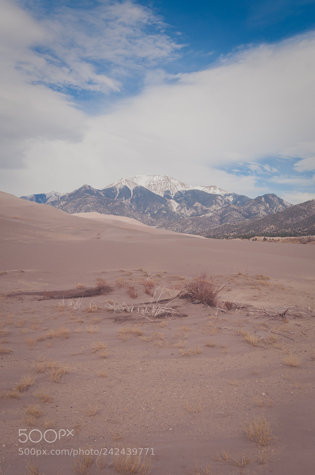 Nikon D90 sample photo. Mountains from great sand photography