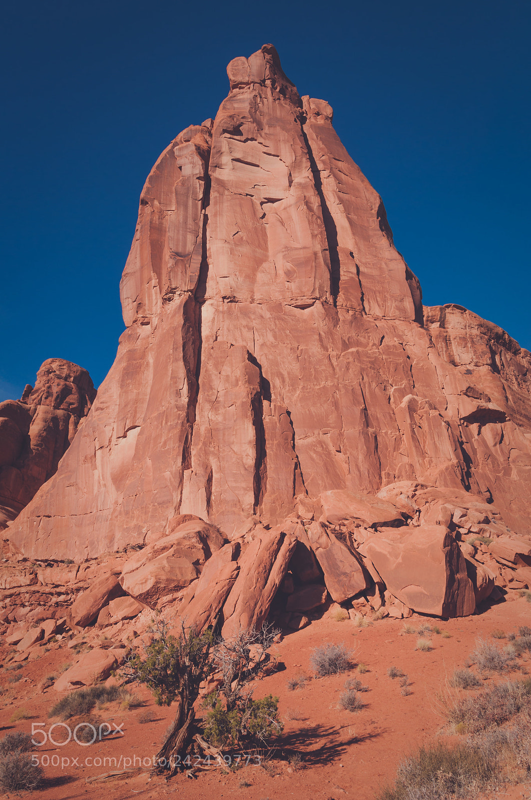 Nikon D90 sample photo. Rock formation in arches photography