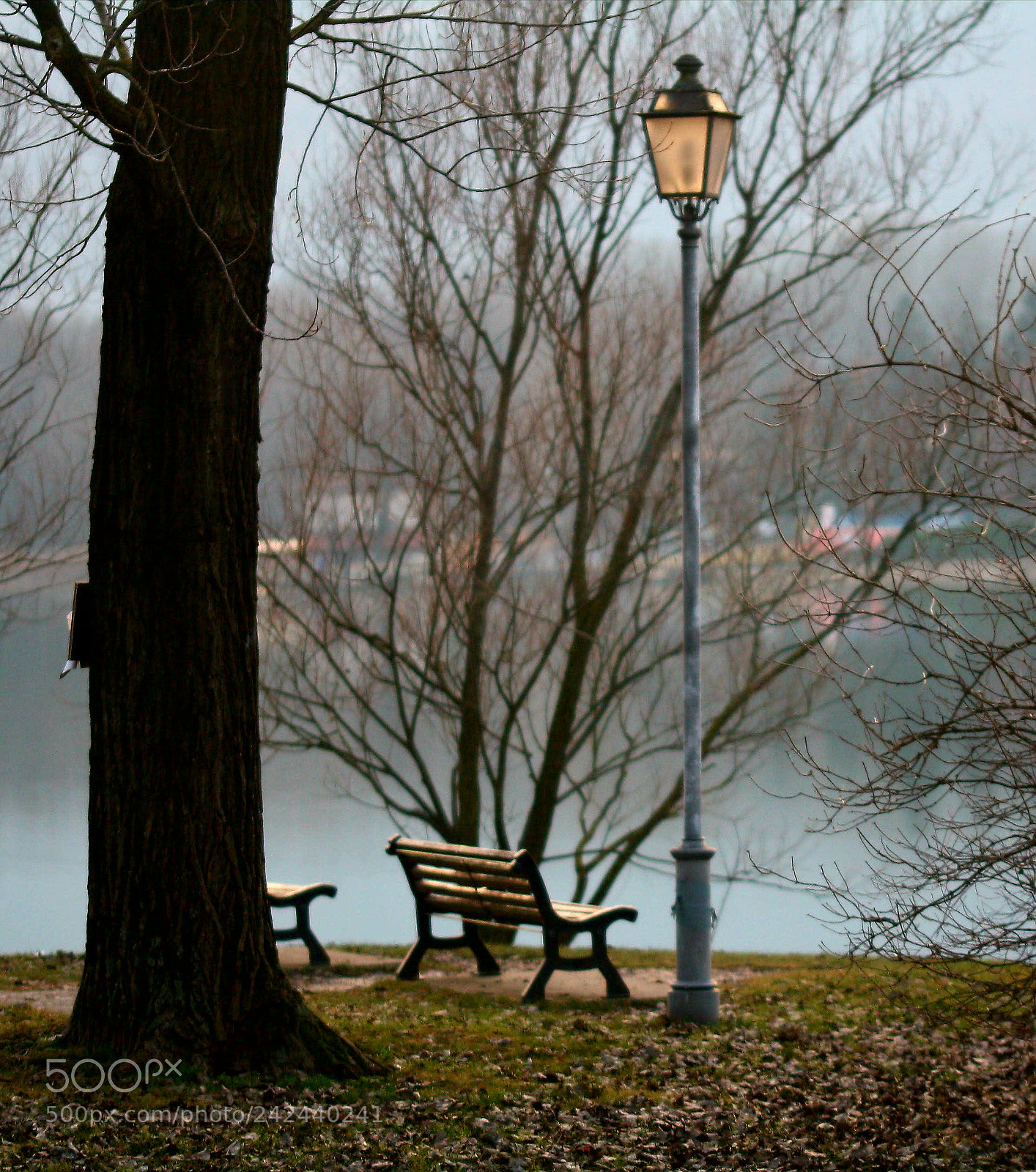 Canon EOS 1000D (EOS Digital Rebel XS / EOS Kiss F) sample photo. Winter lago di endine photography