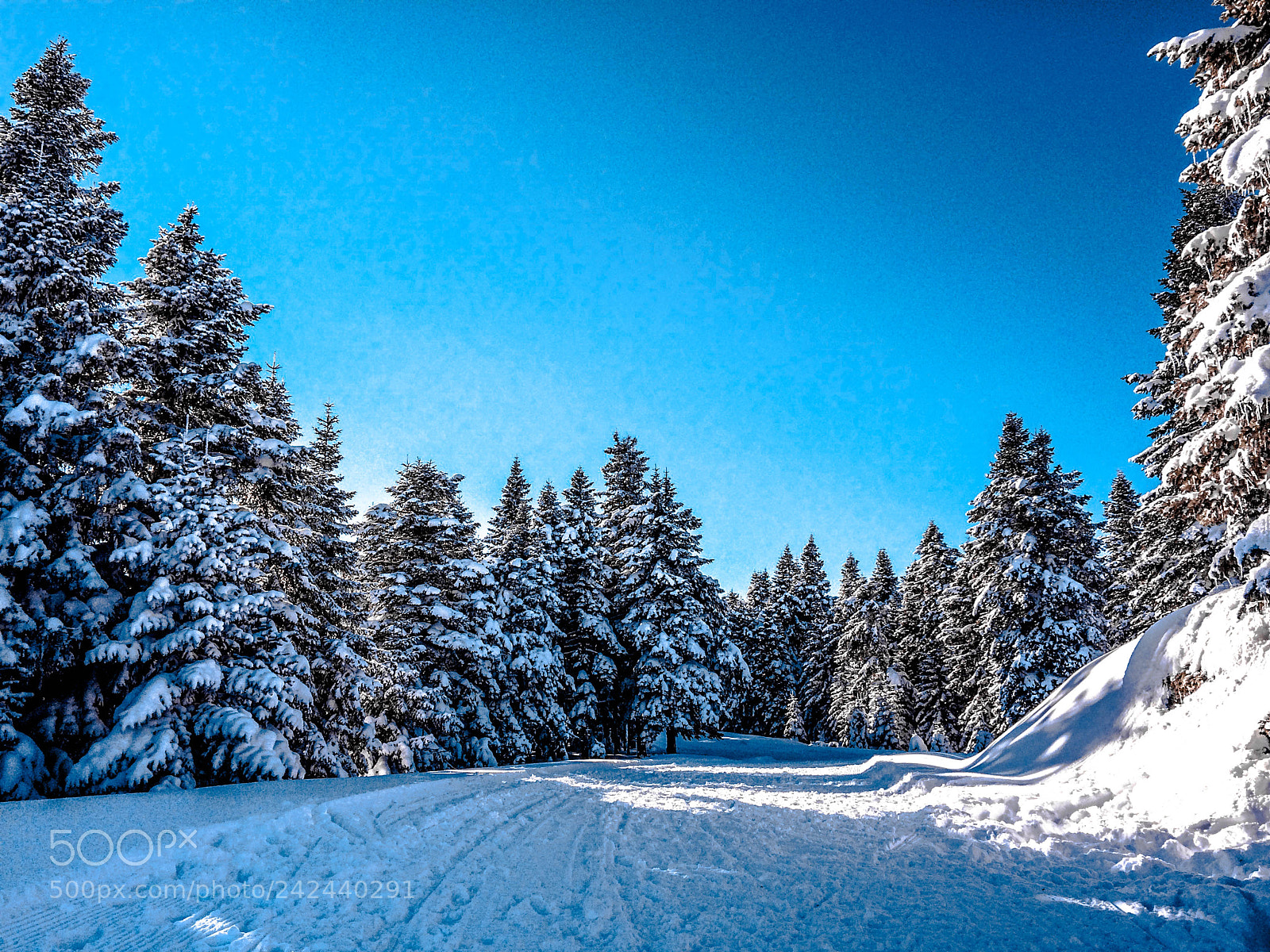 Apple iPhone 5s sample photo. Ilgaz mountain photography