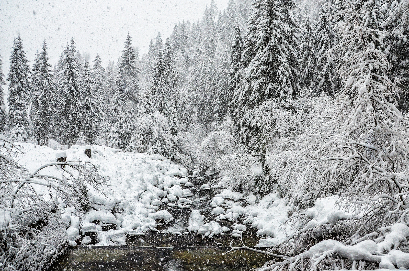 Nikon D5100 sample photo. Winter landscape photography