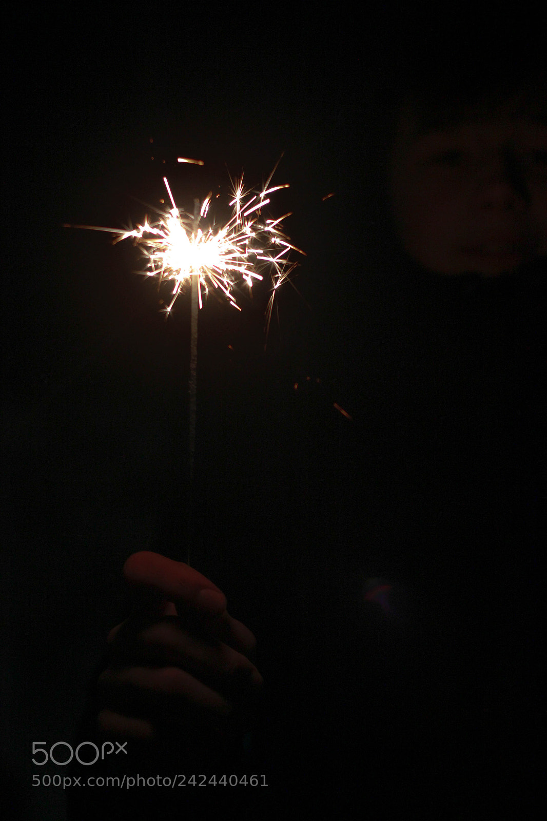 Canon EOS 550D (EOS Rebel T2i / EOS Kiss X4) sample photo. Bengal fire photography