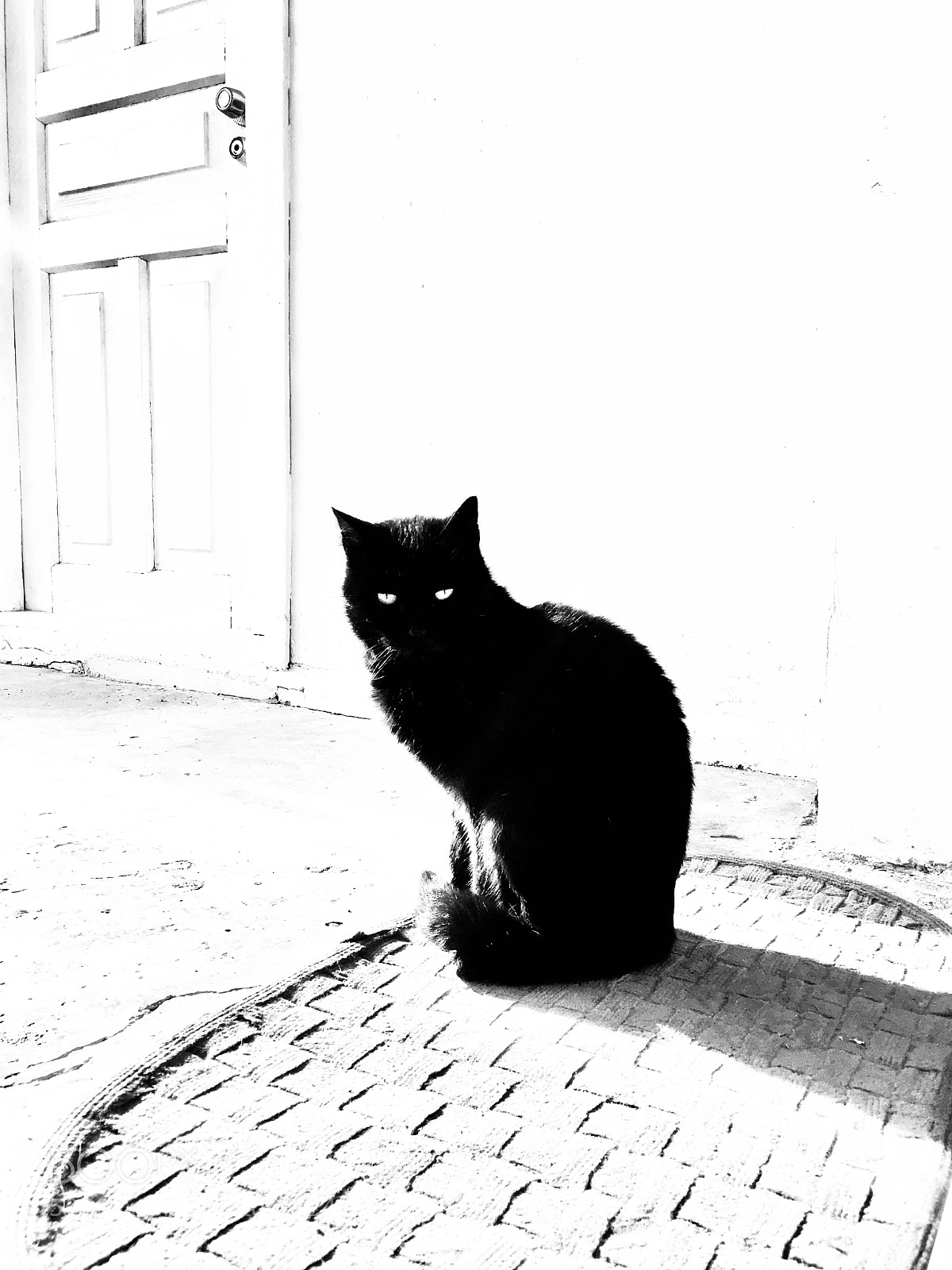 Apple iPhone 6s sample photo. Black in white... photography