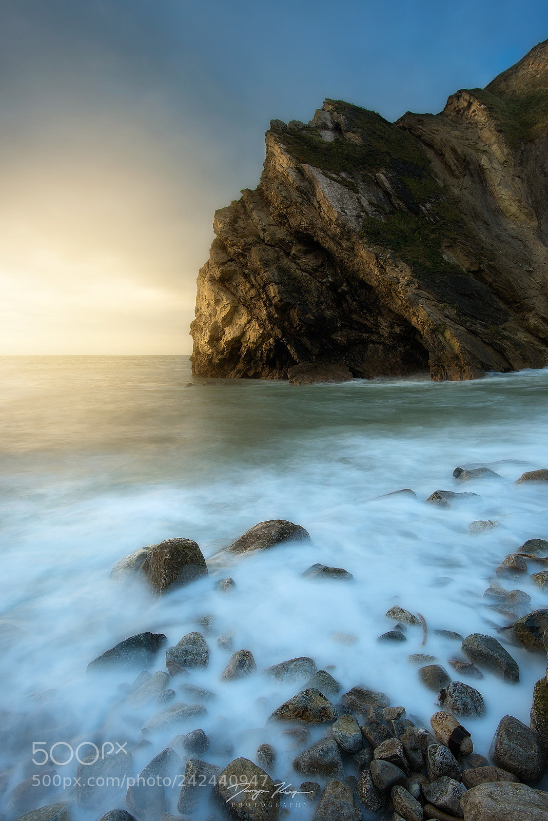 Nikon D810 sample photo. Patience photography