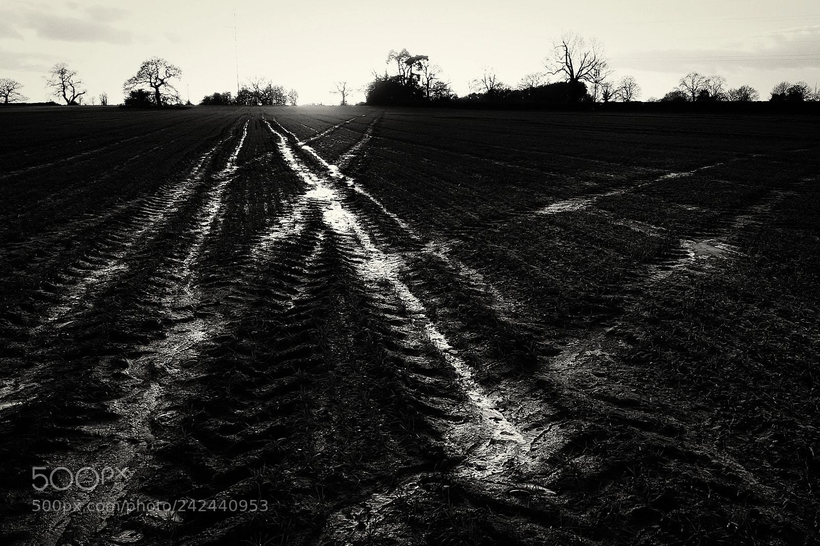 Samsung Galaxy S6 sample photo. Making tracks photography