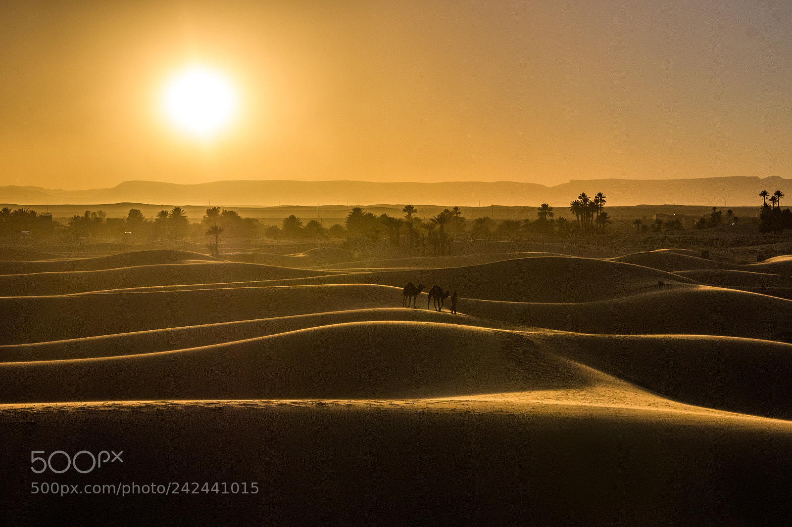Pentax K-70 sample photo. The sahara photography