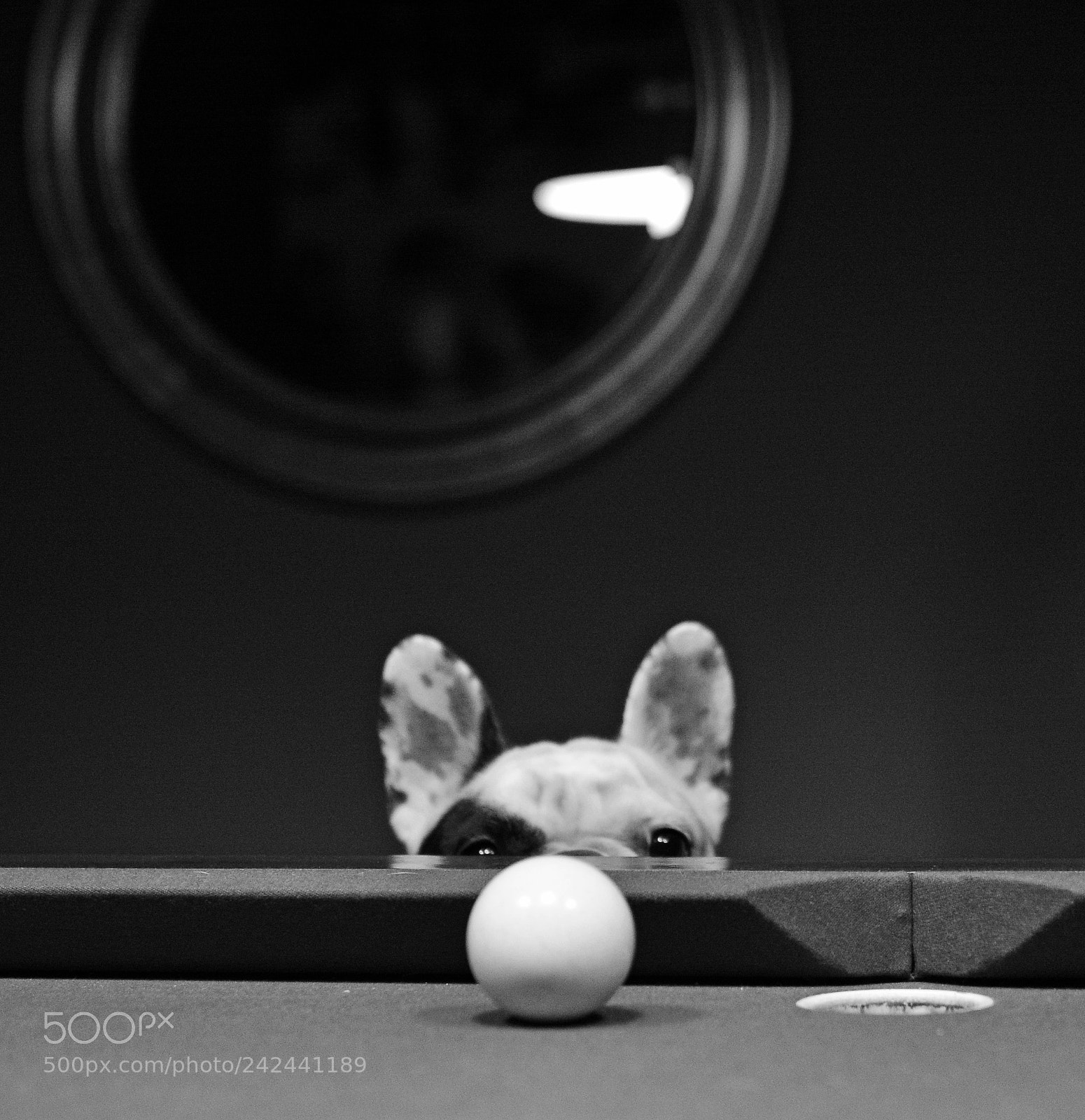 Nikon D7100 sample photo. Le clown ... photography