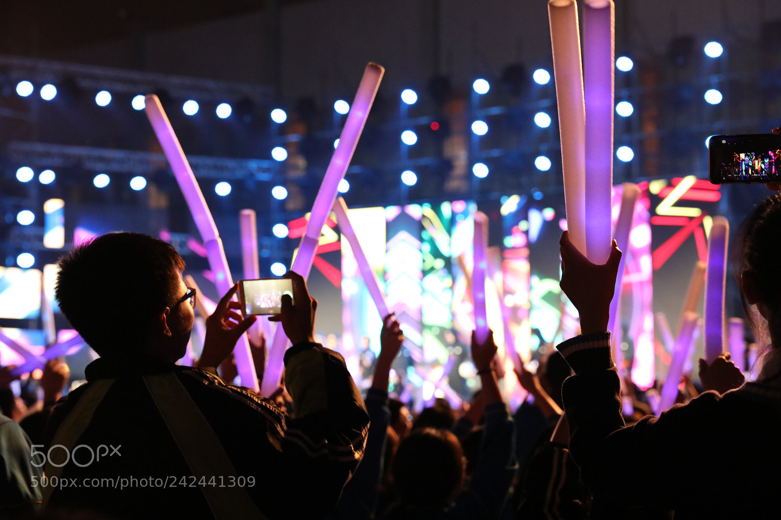 Canon EF 24-70mm F2.8L II USM sample photo. Untitled photography