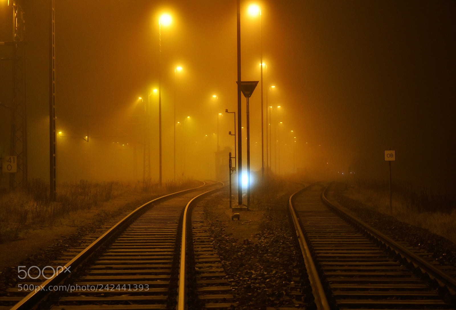 Nikon D500 sample photo. 6:05am photography