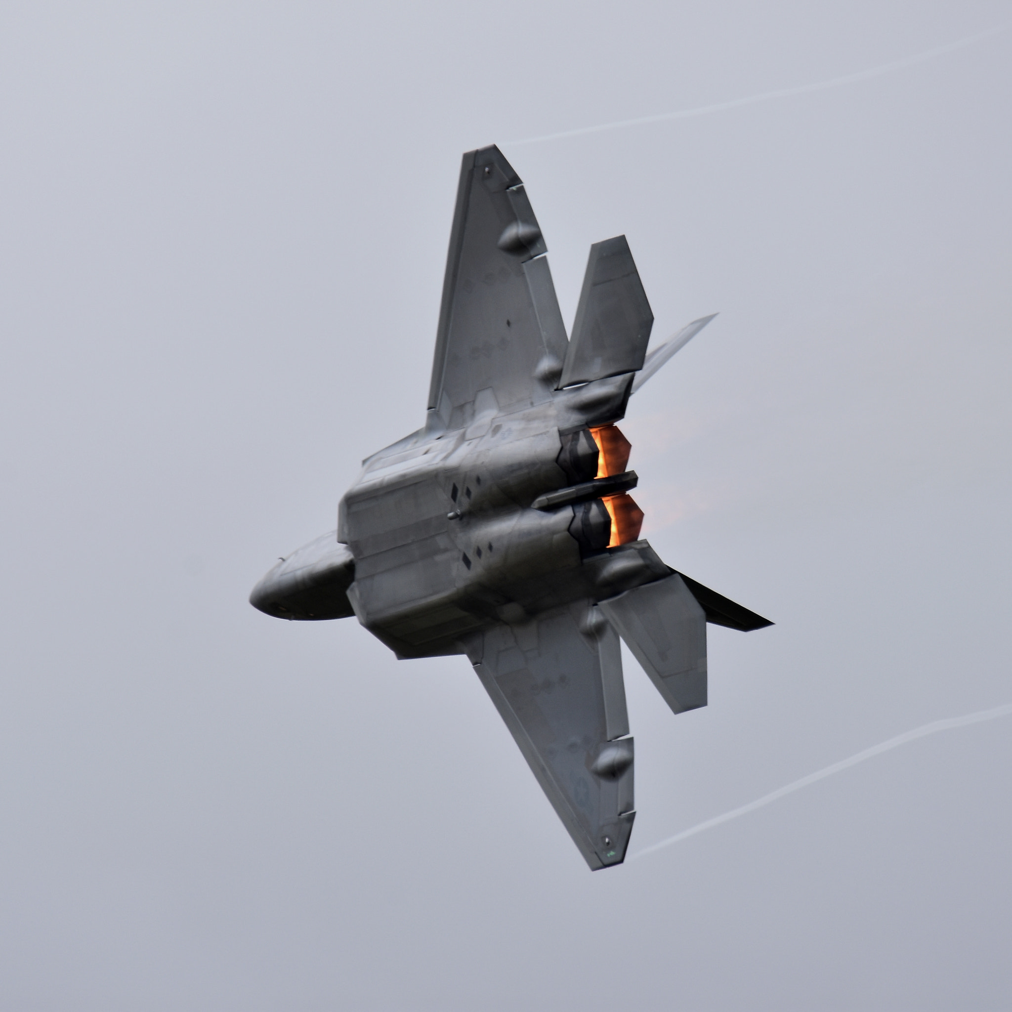 Sigma 150-600mm F5-6.3 DG OS HSM | C sample photo. F-22 raptor photography
