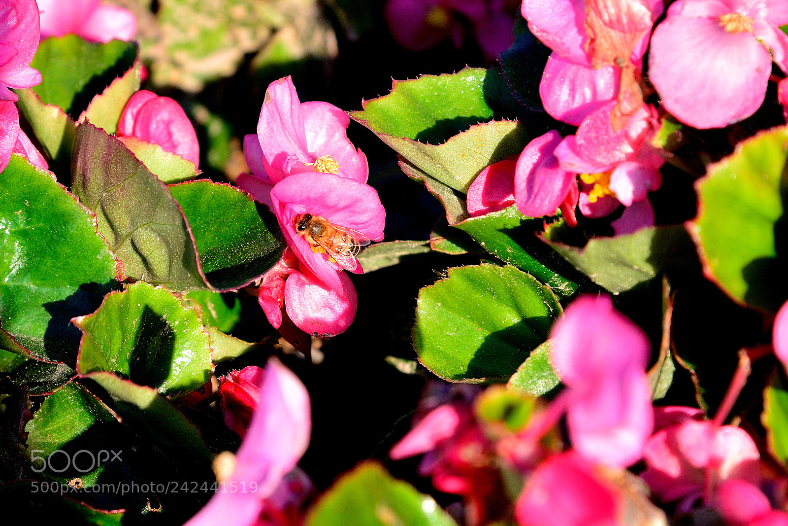Nikon AF-S Nikkor 24-120mm F4G ED VR sample photo. Dsc photography