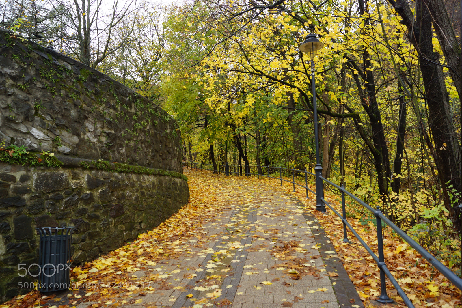 Sony SLT-A65 (SLT-A65V) sample photo. Autumn photography