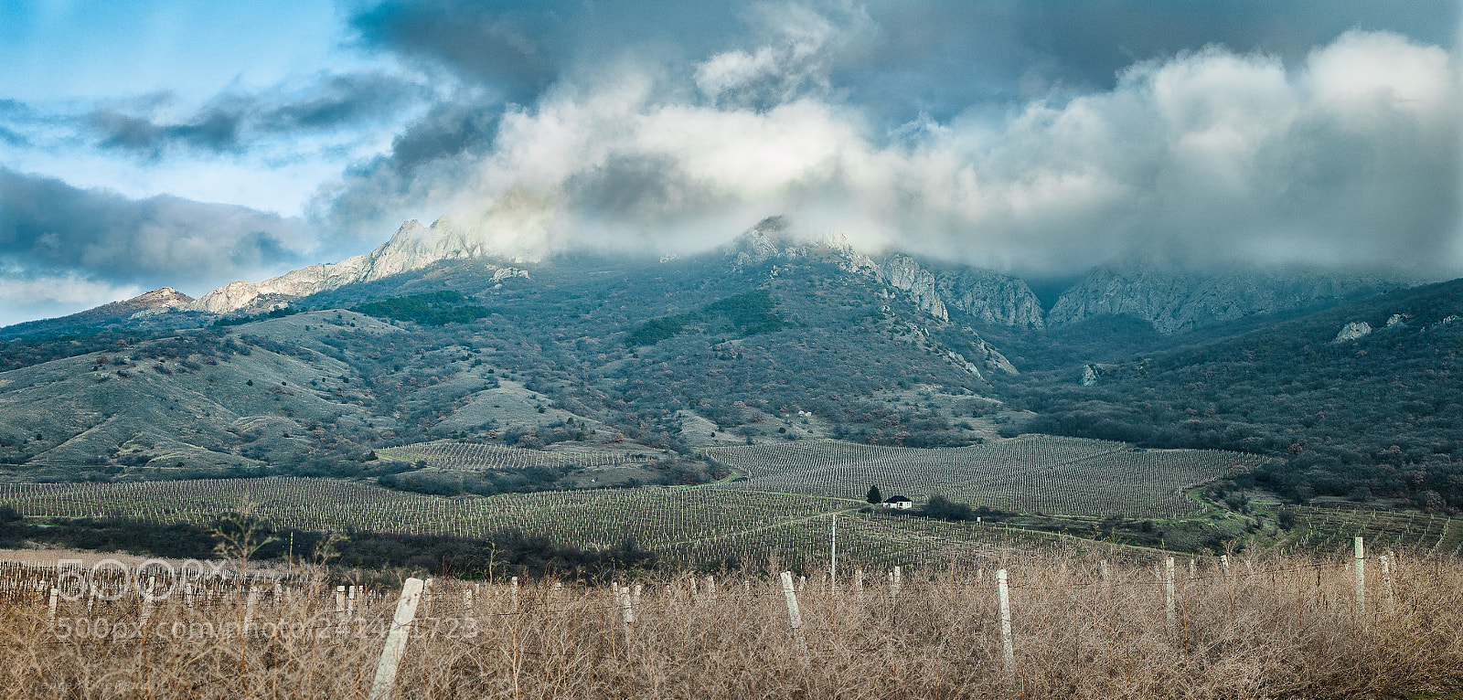 Nikon D90 sample photo. Из поездки в солнечную долину. photography