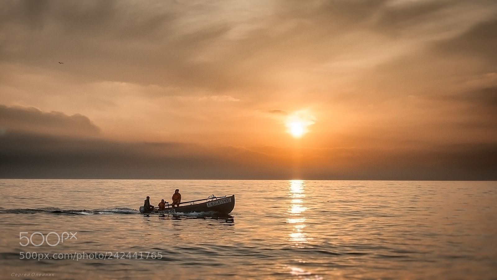 Nikon D90 sample photo. Из поездки в Солнечную долину. Крым photography