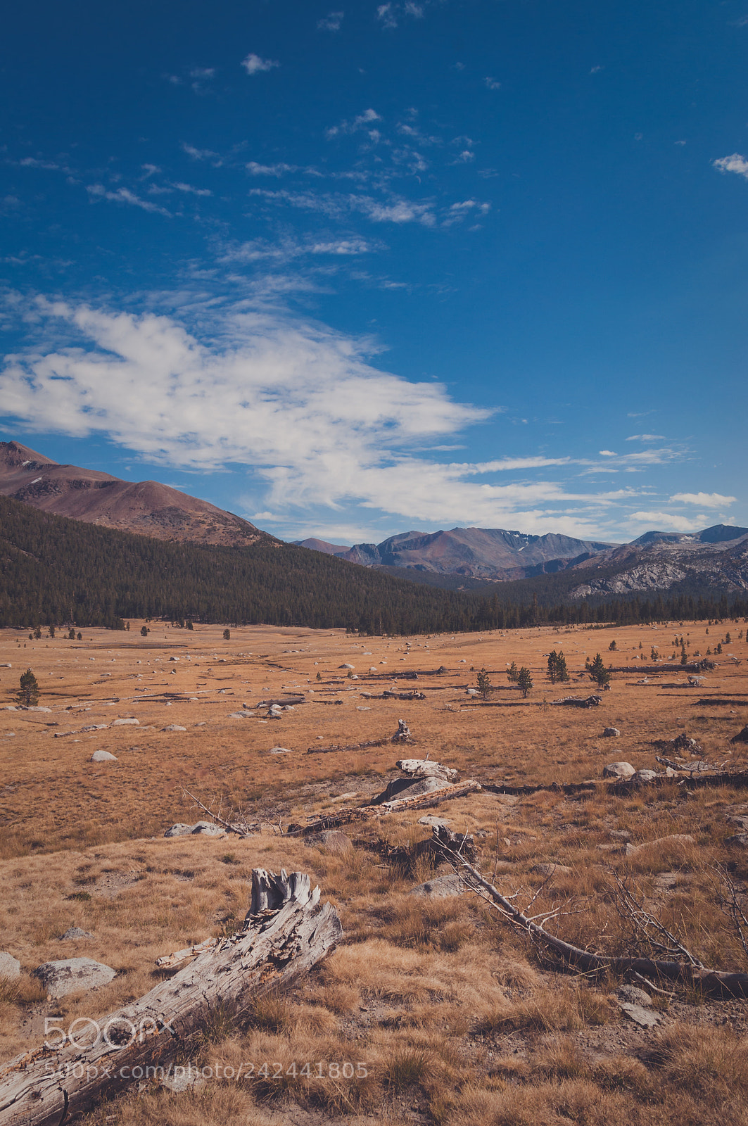 Nikon D90 sample photo. Landscape in yosemite national photography