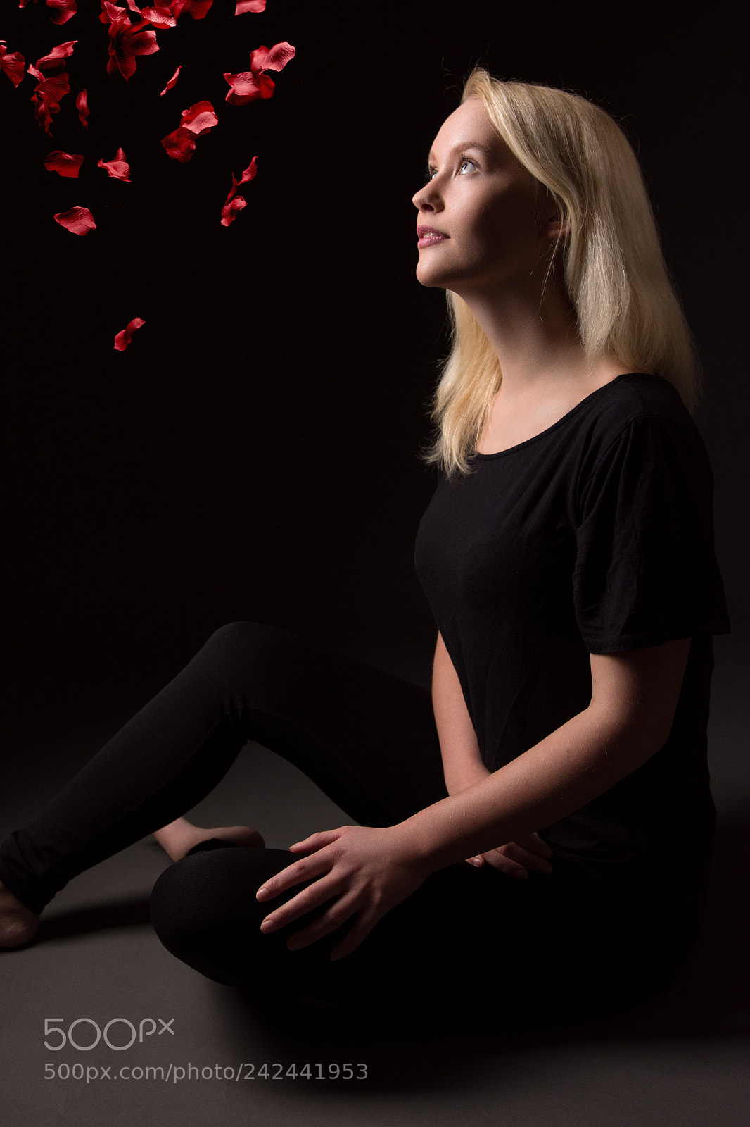 Nikon D7200 sample photo. Rote rosen regnen photography