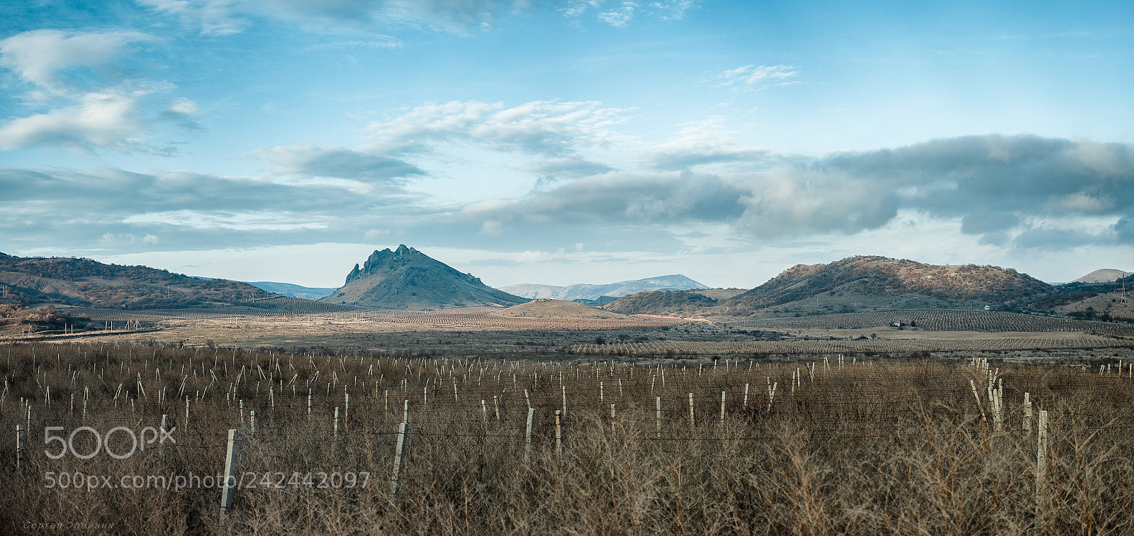 Nikon D90 sample photo. Из поездки в Солнечную долину. Крым photography