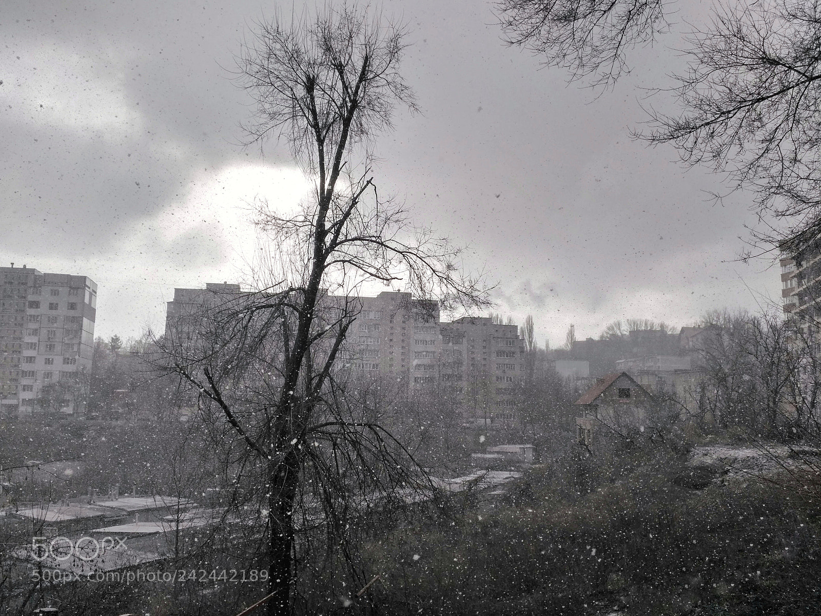 Xiaomi Redmi 3S sample photo. Winter photography