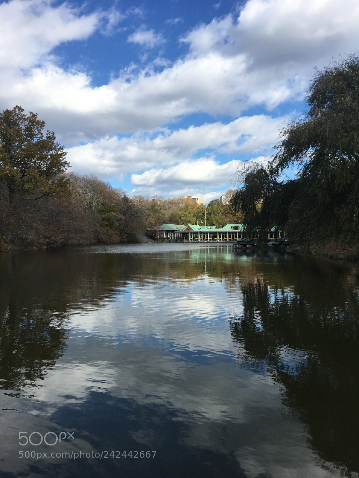 Apple iPhone SE sample photo. Lake in central park photography