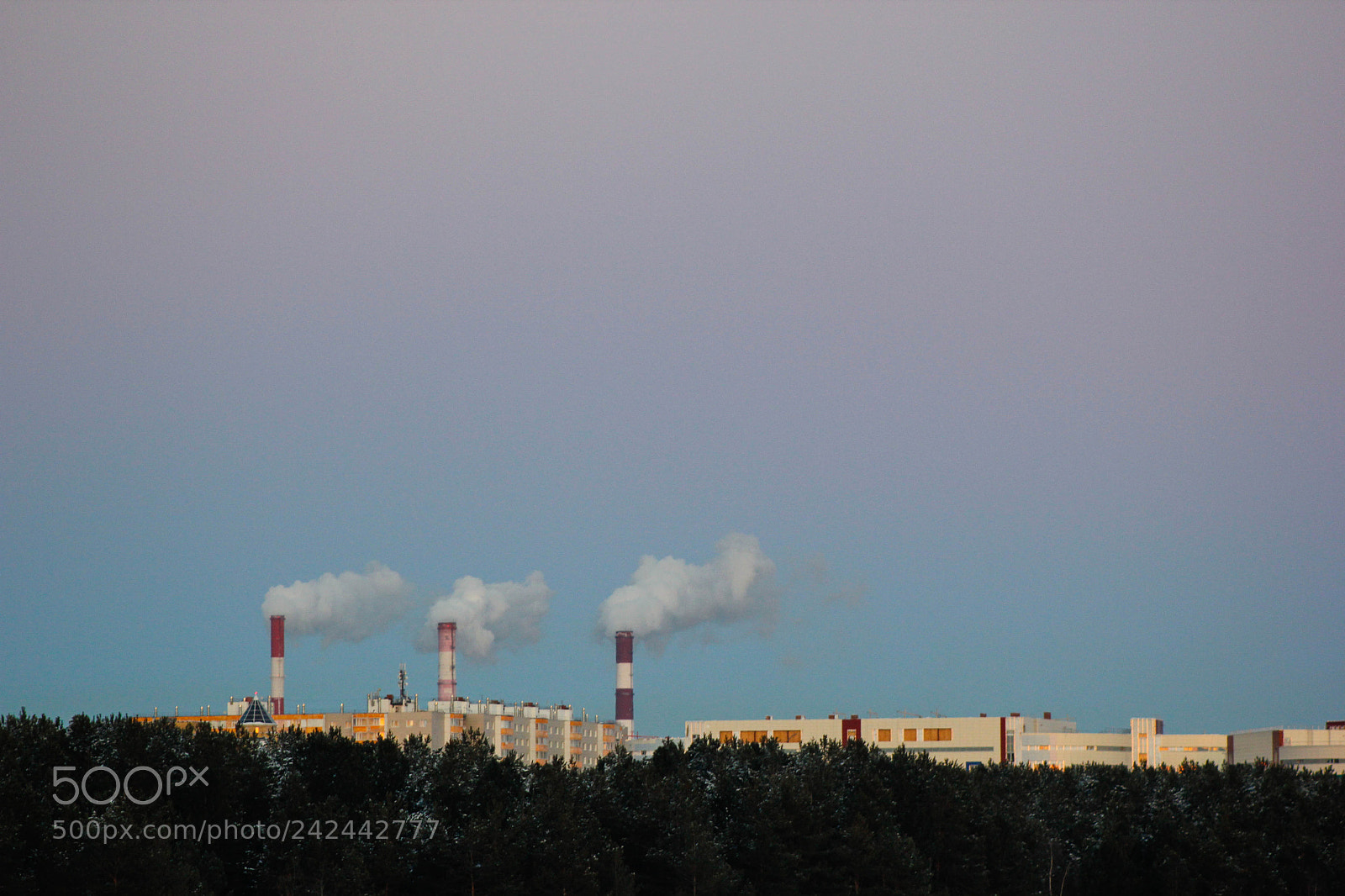 Canon EOS 550D (EOS Rebel T2i / EOS Kiss X4) sample photo. Gradient photography