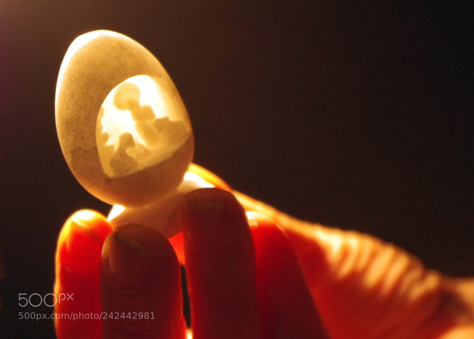 Pentax K-r sample photo. Untitled photography
