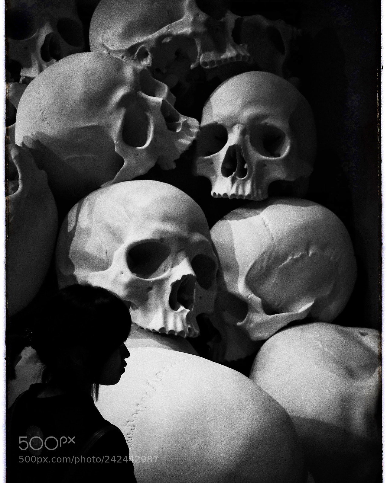 Ricoh GR II sample photo. Skeleton photography