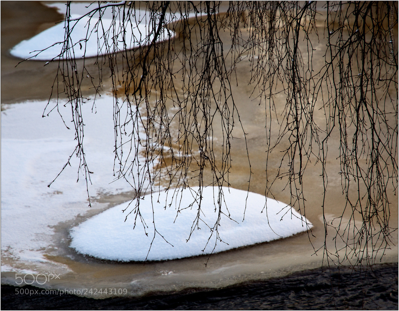 Nikon D7100 sample photo. Idyllic photography