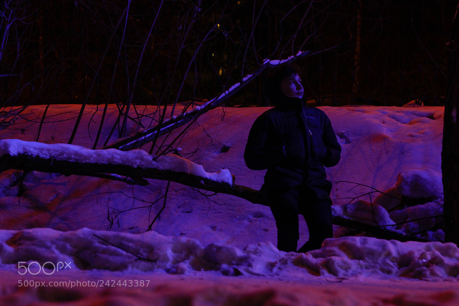 Canon EOS 550D (EOS Rebel T2i / EOS Kiss X4) sample photo. Night photography