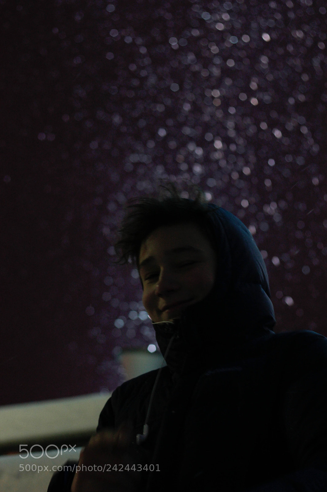 Canon EOS 550D (EOS Rebel T2i / EOS Kiss X4) sample photo. Winter bokeh photography