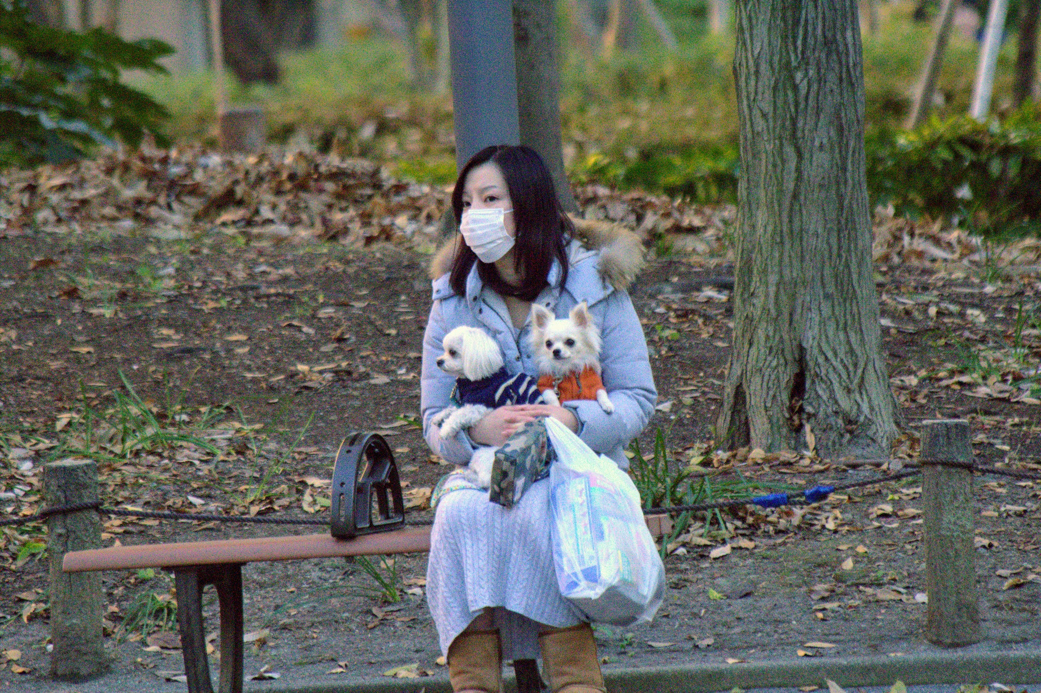 Canon EF 70-300mm F4-5.6 IS USM sample photo. At the parc photography