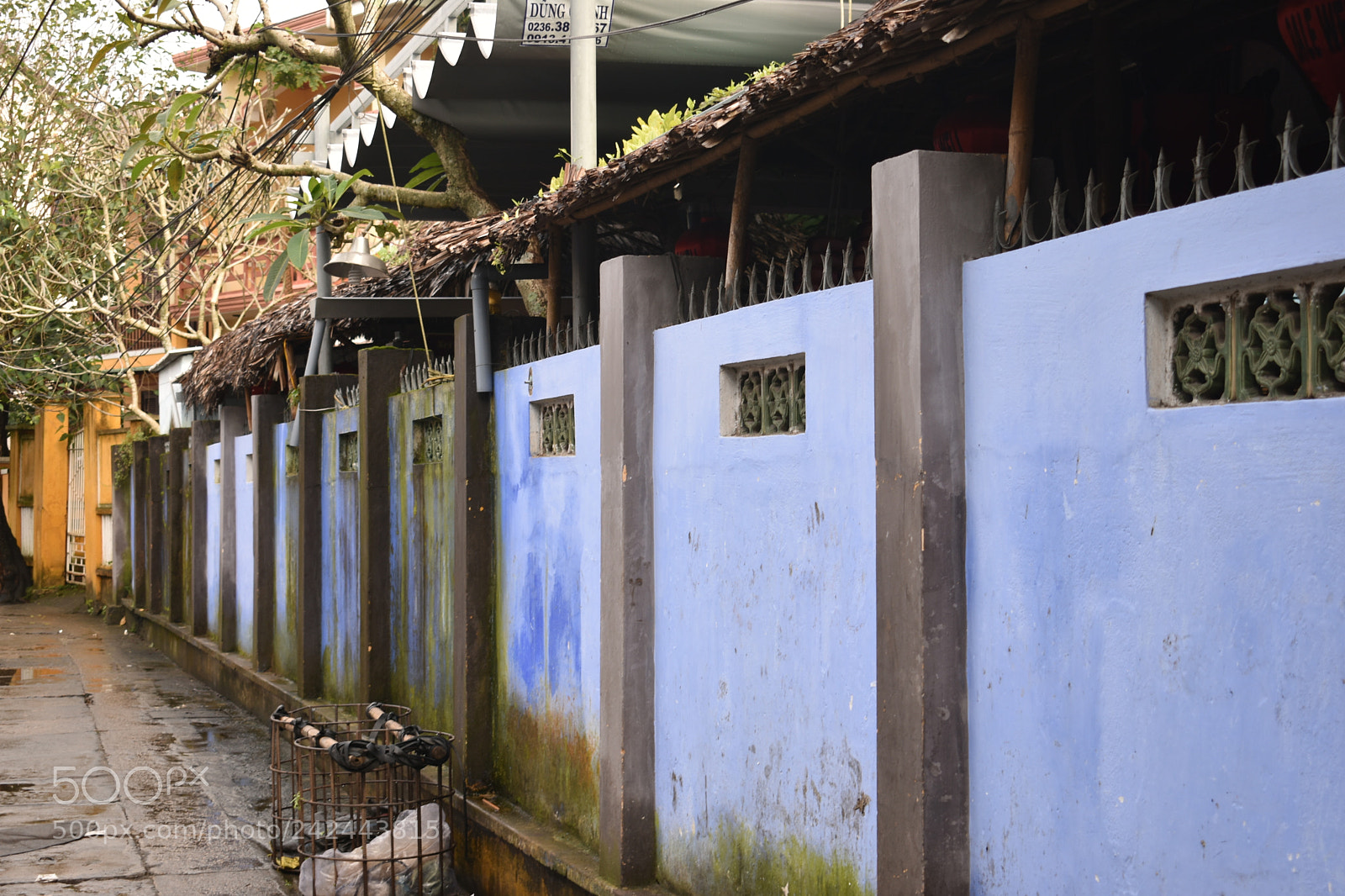 Nikon D3400 sample photo. Beautiful indigo wall photography