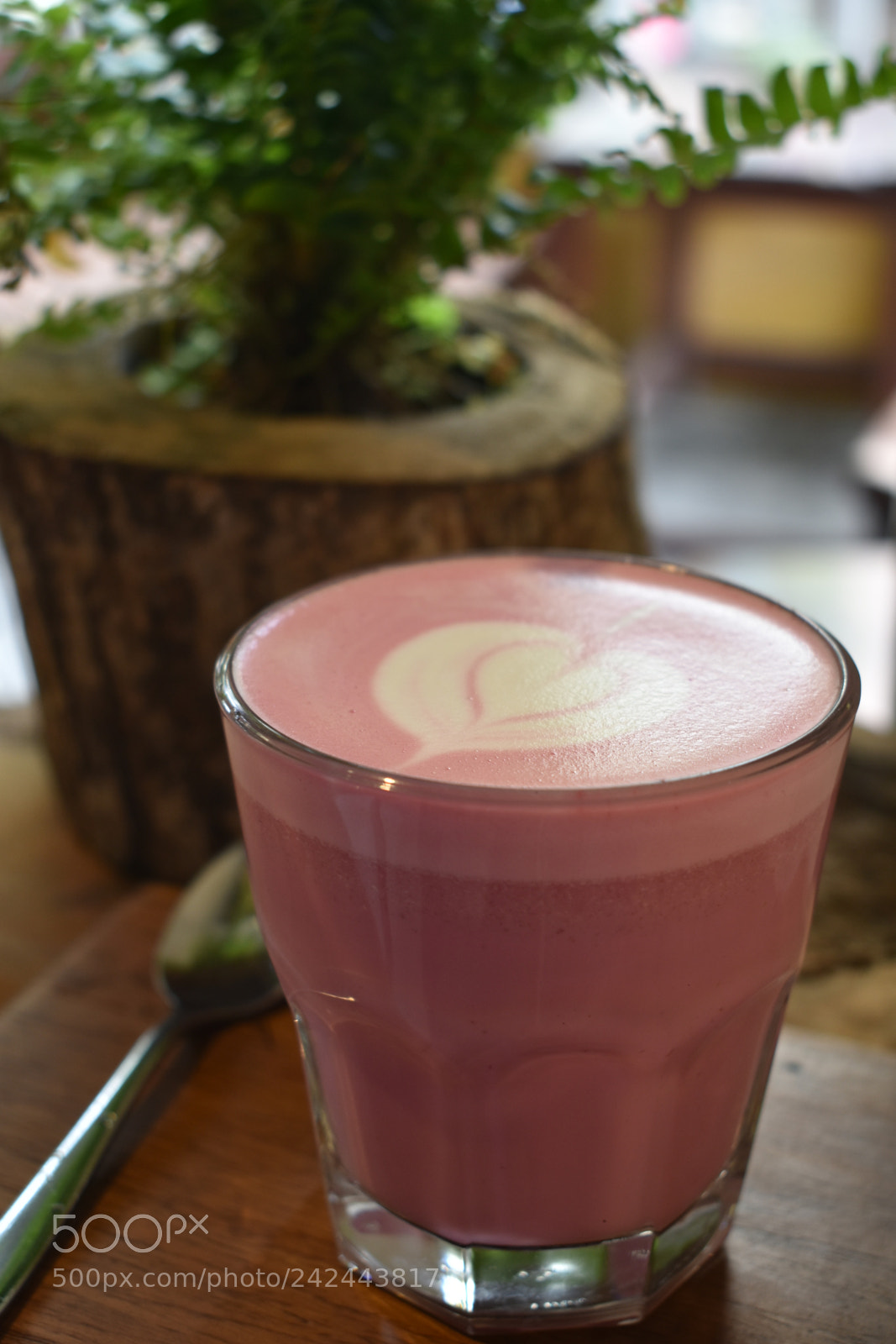 Nikon D3400 sample photo. Pink latte photography