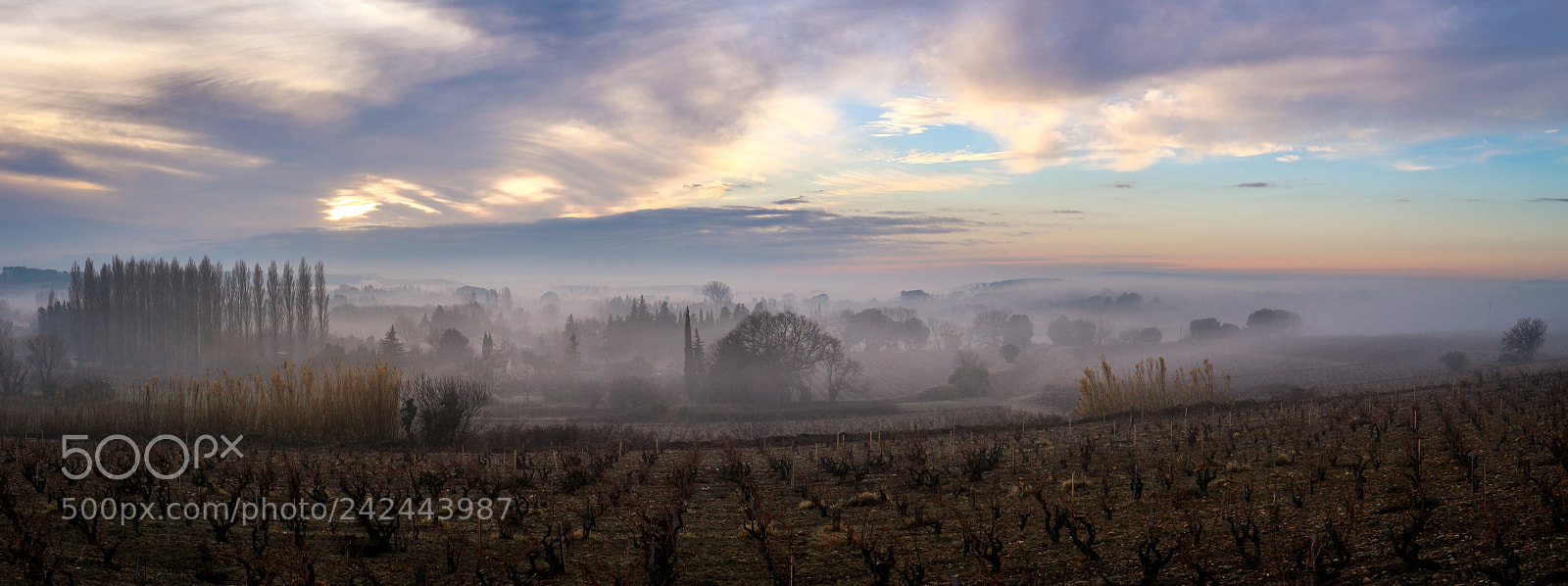 Canon EOS M10 sample photo. Foggy winter photography