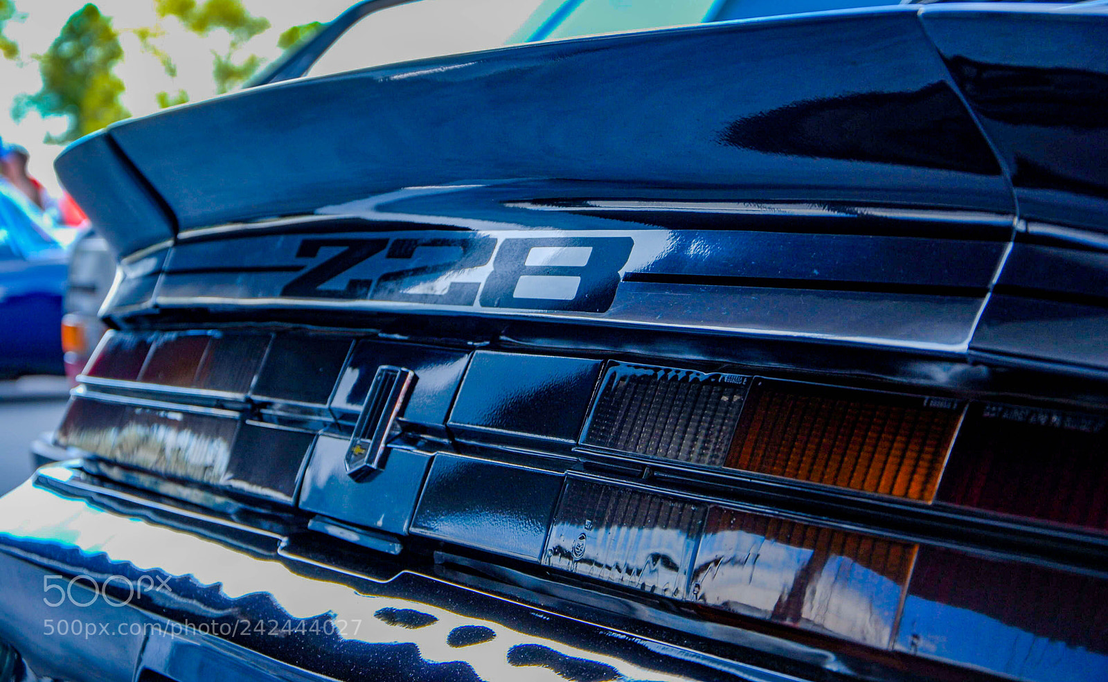 Nikon D200 sample photo. Simply cool photography