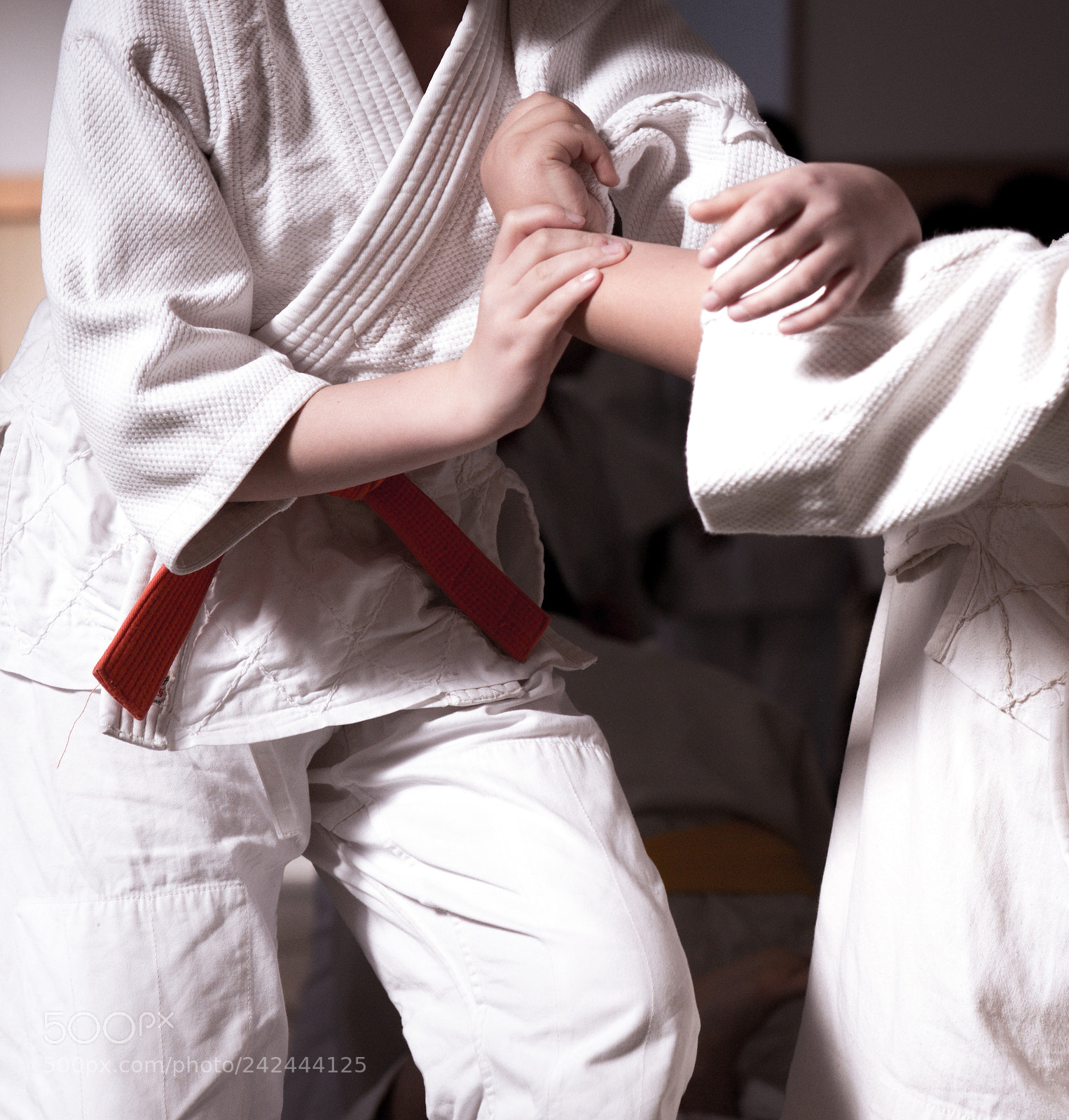 Nikon D600 sample photo. Aikido photography