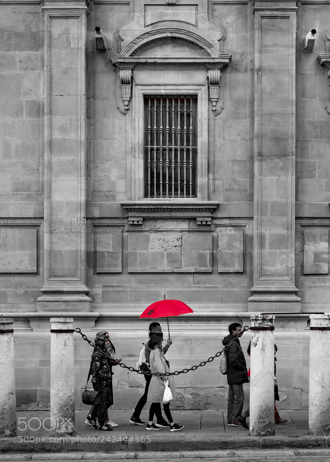 Nikon D5500 sample photo. Splash of colour photography